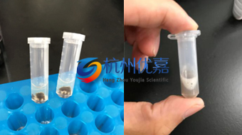 杭州宋慈全自動樣品快速研磨儀提取核酸蛋白實驗