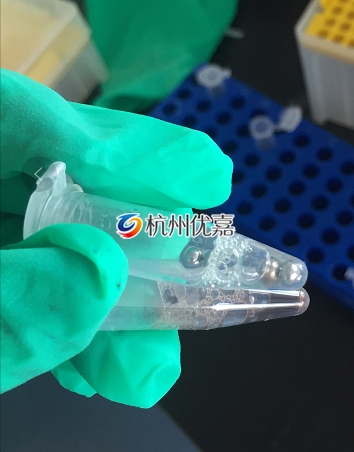 宋慈全自動樣品研磨儀研磨動物組織，提取RNA實驗